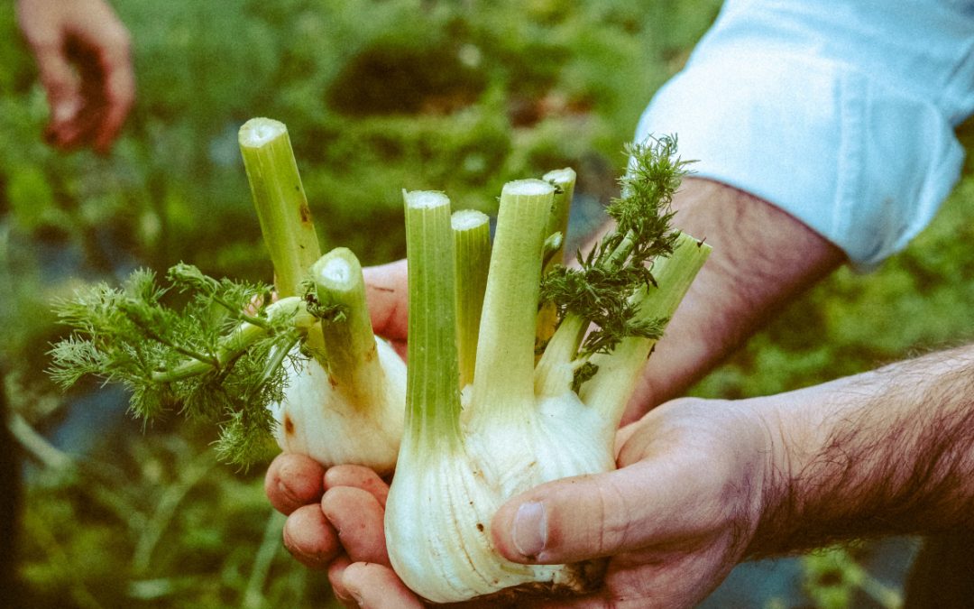 Legado, o novo projeto gastronómico da Madeira